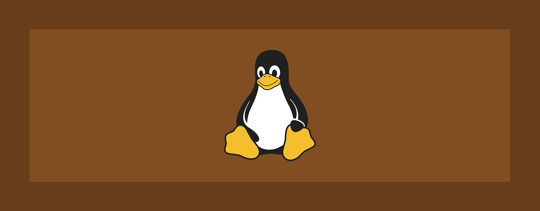 Cómo instalar ZSH y Oh My ZSH! en GNU/Linux